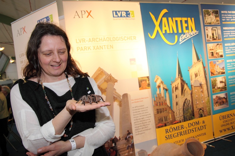 APX Xanten