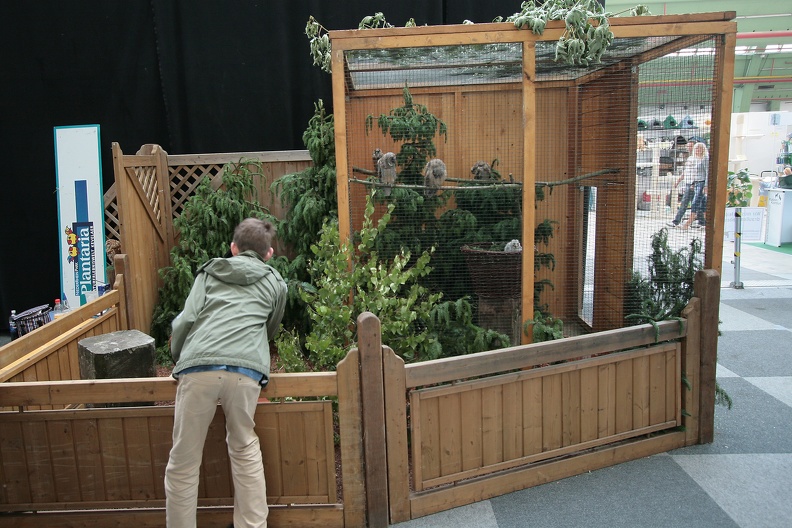 messestand_plantaria_3093.jpg