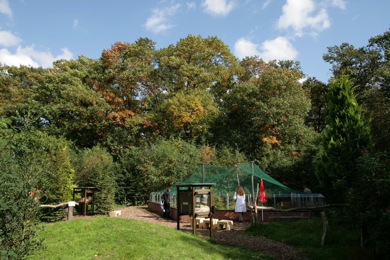 Herbst in der Außenanlage