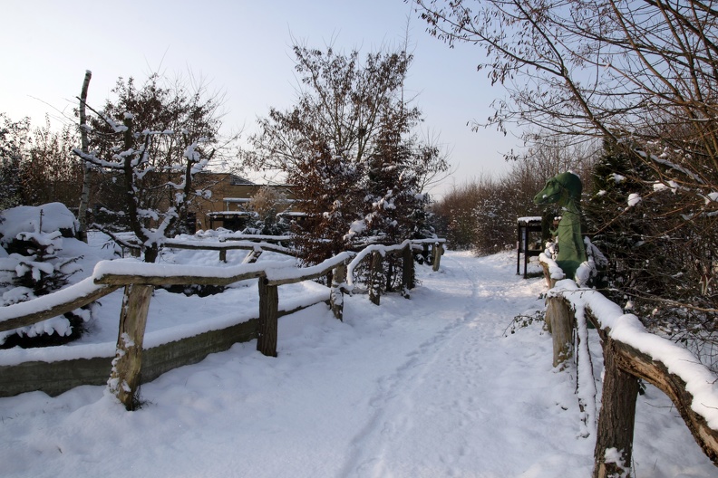 Außenanlage im Winter