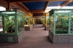 Hohe Halle