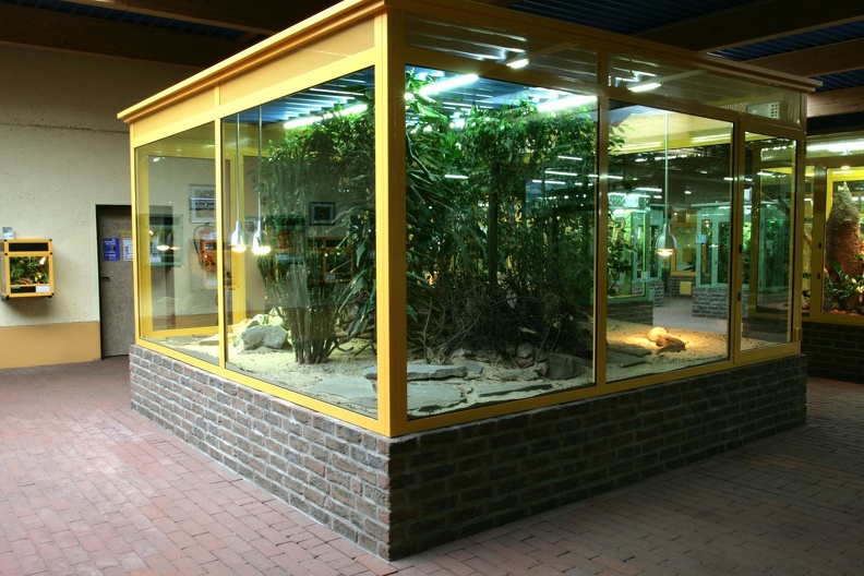 Großterrarium Gouldswaran