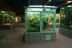 Terrarien