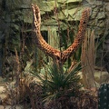 terrarium_0607.jpg