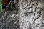 Felsstruktur (3447 visits) Der Putz erhält eine Felsstruktur bevor er eingetrocknet ist. Felsstruktur
