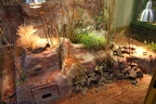 Fertiges Terrarium