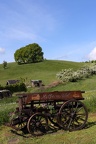 Begrüßung (2646 visits) Am Dorfeingang von Mülheim,einem kleinen idyllischem Ort in der Eifel steht diese Kutsche mit Willk... Begrüßung