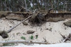 Küstendynamik Weststrand
