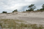 W eißdüne