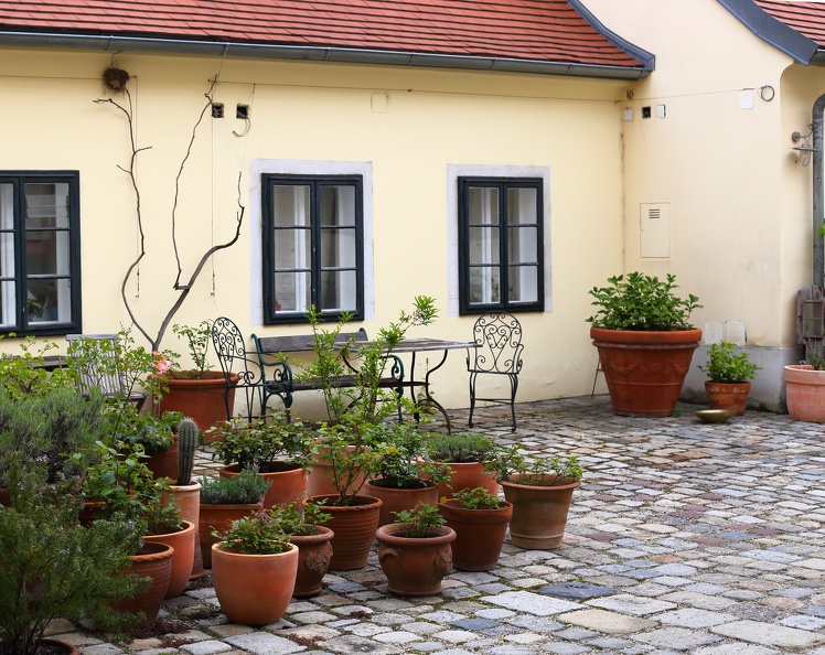 Der Rennweg vermittelt mit seinen niedrigen gelben Häusern und den vielen Topfpflanzen ein mediterranes Flair mitten in der Großstadt 3_rennweg_0264.jpg