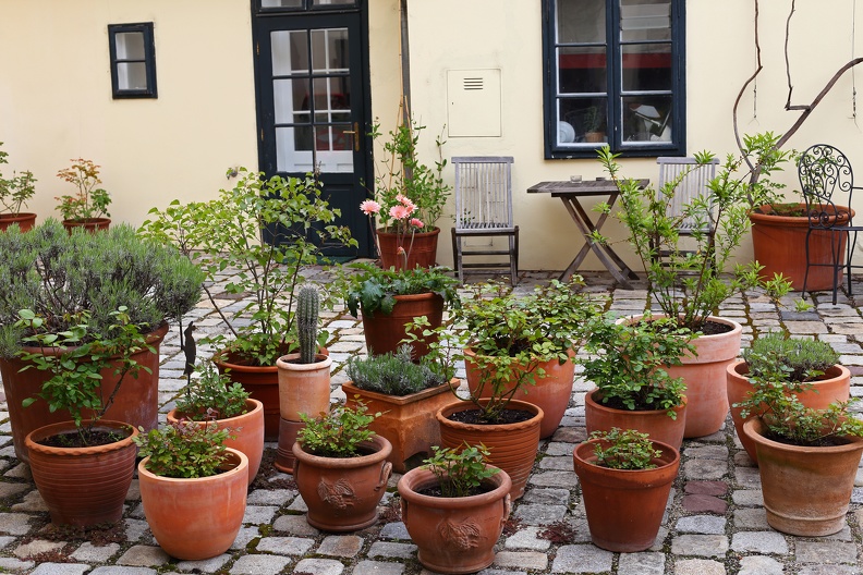 Topfpflanzen auf dem Rennweg 3_rennweg_0268.jpg