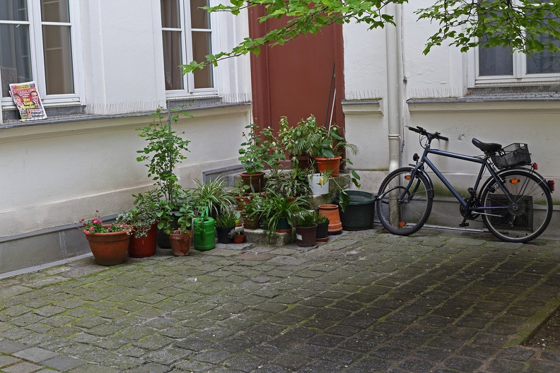 Innenhof mit Fahrrad und Topfpflanzen im Adlerhof der Josefstadt adlerhof_josefstadt_1390.jpg
