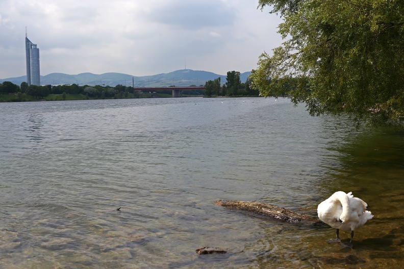 Ausblick Donauinsel