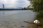 Ausblick Donauinsel (3444 visits) Ausblick von der Donauinsel auf den Milleniumstower und Kahlenberg im Hintergrund Ausblick Donauinsel