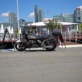 donauinsel_guzzi_1112.jpg