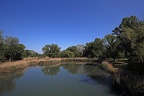 Irissee im Donaupark (2104 visits) Irissee im Donaupark im Morgenlicht Irissee im Donaupark