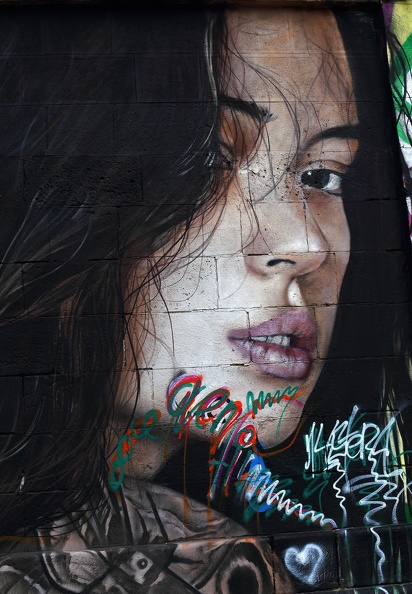 Der Donaukanal im Herzen Wiens ist eine Eldorado für Graffiti-Künstler,hier das Porträt einer jungen Frau graffiti_donaukanal_1663.jpg