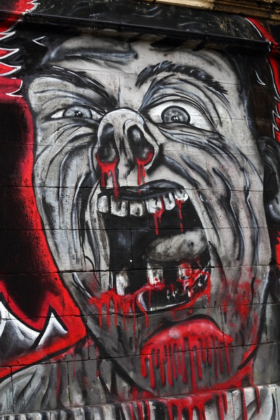 Graffiti Kunst graffiti_donaukanal_der_schrei_1666.jpg