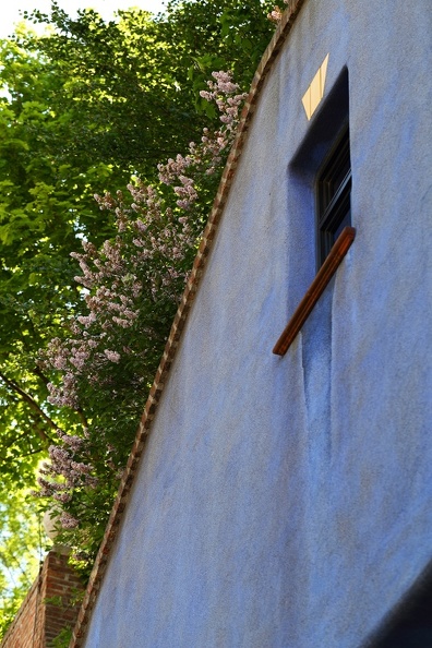 Blaue Fassade mit bepflanztem Dach hundertwasserhaus_0823.jpg