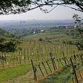 Kahlenberg Ausblick