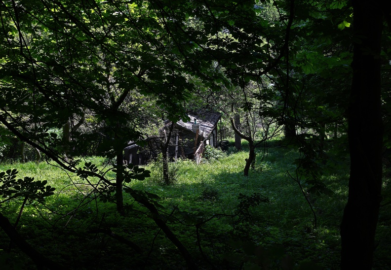 Hütte im Wienerwald am Kahlenberg kahlenberg_verlassene_huette_1095.jpg