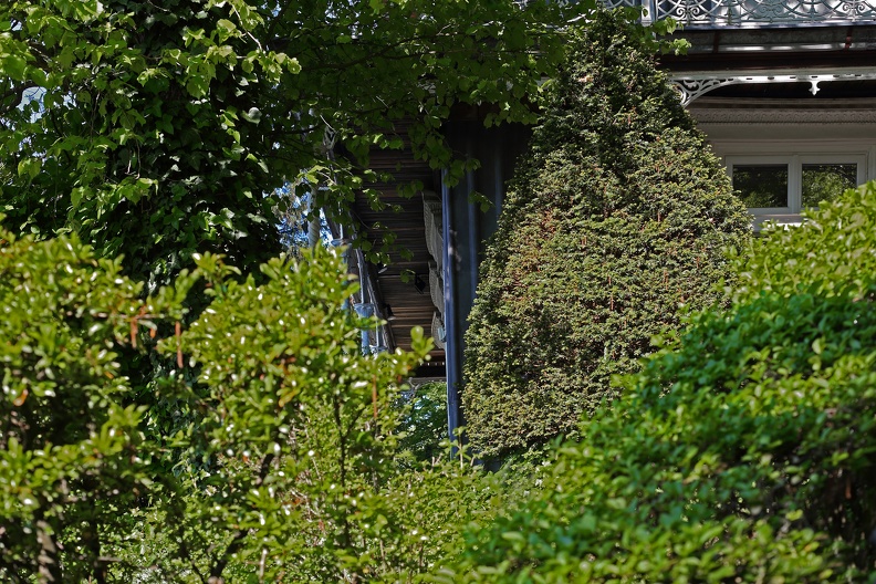 Verlassene fast überwucherte Villa im Wienerwald kahlenberg_villa_1034.jpg