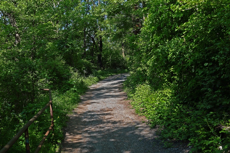 Stadtwanderweg 1a am Kahlenberg kahlenberg_wanderweg_1041.jpg