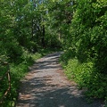 kahlenberg_wanderweg_1041.jpg