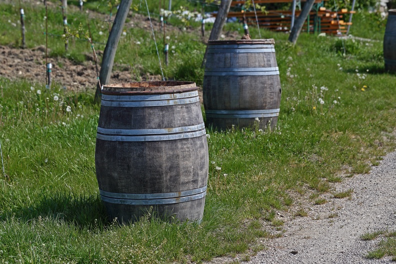 Holzweinfässer Weingut Wailand kahlenberg_weinfaesser_wailand_1073.jpg