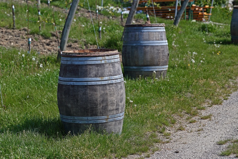 kahlenberg_weinfaesser_wailand_1073.jpg