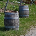 kahlenberg_weinfaesser_wailand_1073.jpg