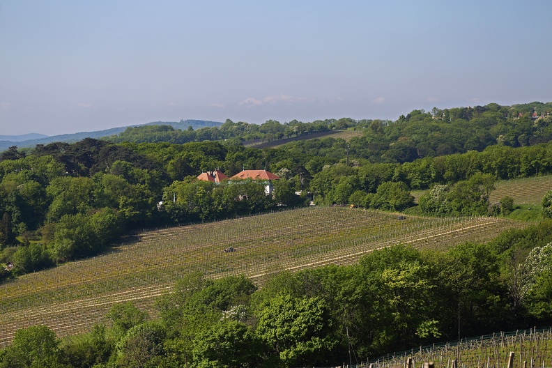 Weingut am Kahlenberg kahlenberg_weingut_1064.jpg