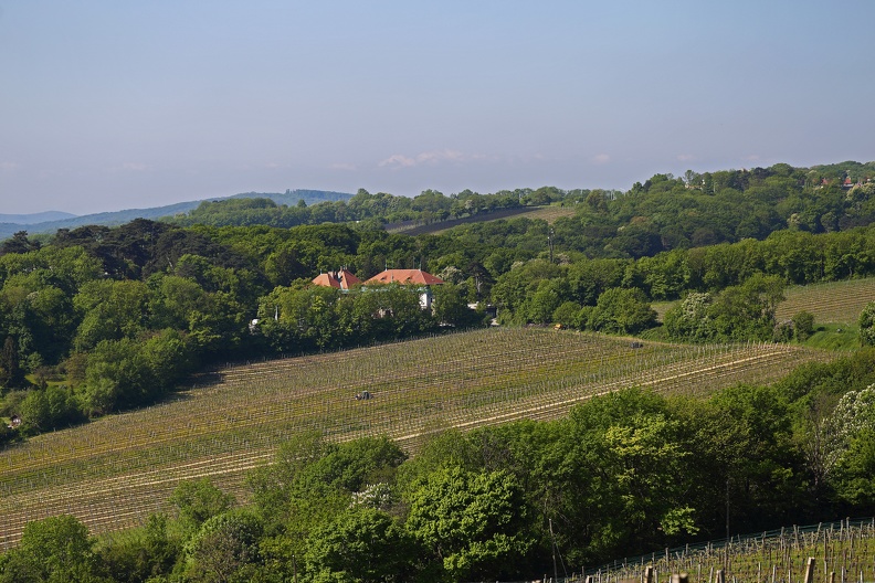 Weingut