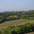 Weingut