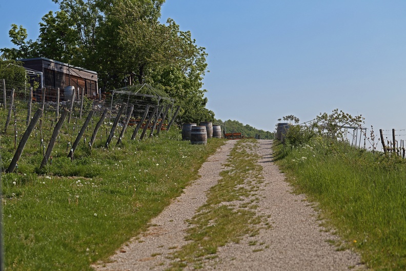 Zufahrt zum kleinen Weingut Wailand am Kahlenberg kahlenberg_weingut_wailand_1068.jpg