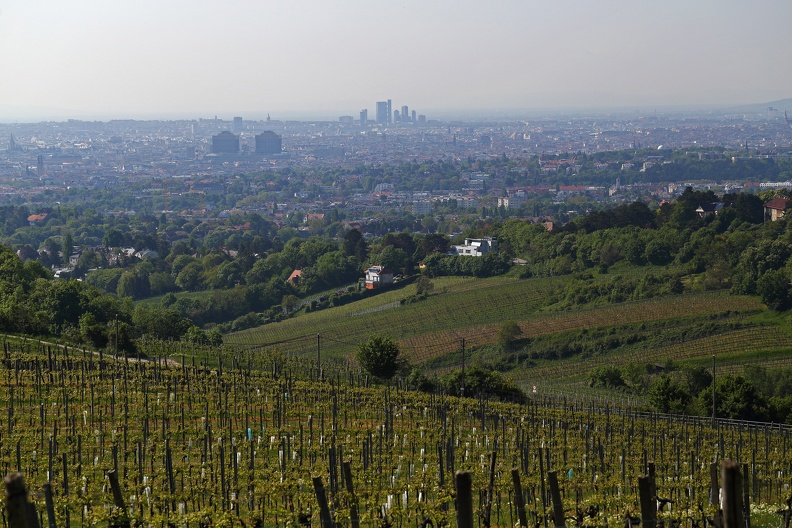 Der Kahlenberg ist ein Berg (484 m) im 19. Wiener Gemeindebezirk Döbling an der Grenze zu Klosterneuburg und der bekannteste Aussichtspunkt auf Wien. kahlenberg_wienblick_1066.jpg