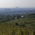 Blick vom Kahlenberg