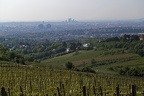 Blick vom Kahlenberg (2617 visits) Der Kahlenberg ist ein Berg (484 m) im 19. Wiener Gemeindebezirk Döbling an der Grenze zu Klosterne... Blick vom Kahlenberg