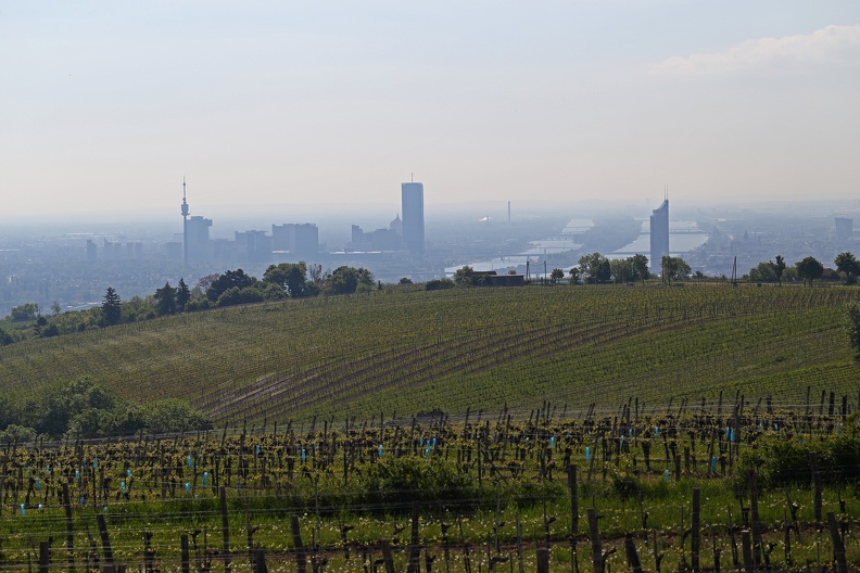 Ausblick Kahlenberg