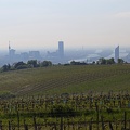 Ausblick Kahlenberg