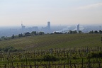 Ausblick Kahlenberg (2696 visits) Vom Kahlenberg bietet sich einem der schönste Ausblick auf Wien Ausblick Kahlenberg