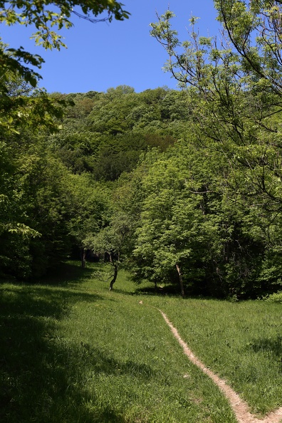 Wanderweg Wienerwald