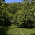 Wanderweg Wienerwald