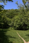Wanderweg Wienerwald (2950 visits) Stadtrundweg 1A im Wienerwald Wanderweg Wienerwald