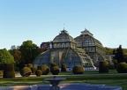 Palmenhaus