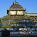 palmenhaus_1005.jpg