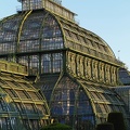 palmenhaus_1022.jpg