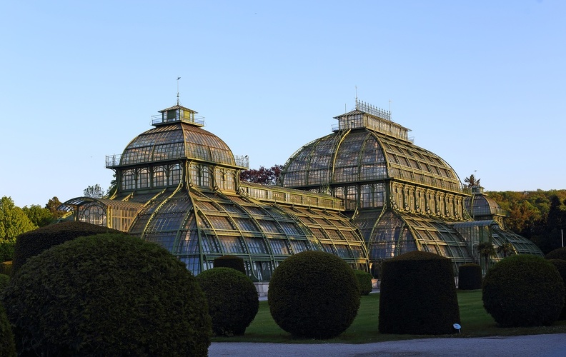Nach nur zwei Jahren Bauzeit eröffnete Kaiser Franz Joseph I. am 19. Juni 1882 das vom Hofschlosser und Eisenkonstrukteur Ignaz Gridl nach Plänen des Hofarchitekten und Brückenbauexperten Franz-Xaver von Segenschmid erbaute Palmenhaus. palmenhaus_1024.jpg