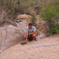 Daniel-Saguaro-Nationalpark-Desert-Tortoise-01.jpg