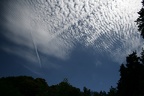 Cirrocumulus